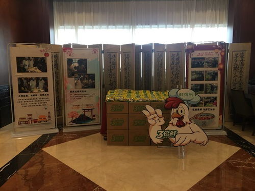 红桥布标设计恒众 一站式广告工程解决方案专家